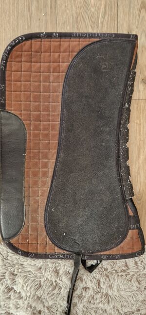 Trense VB, Schabracken, Lena, Dressage Pads, Stralsund, Image 8