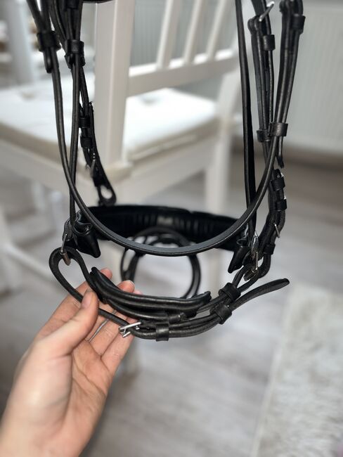 Trense Warmblut (Full), L. Köster, Bridles & Headstalls, Olpe, Image 12