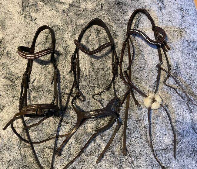 Trensen WB Dunkelbraun, Vivi, Bridles & Headstalls, Neuenhaus 