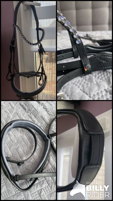 Trense WB, englisch-kombiniert, Waldhausen, Mirjam Ebert , Bridles & Headstalls, Sickte, Image 9