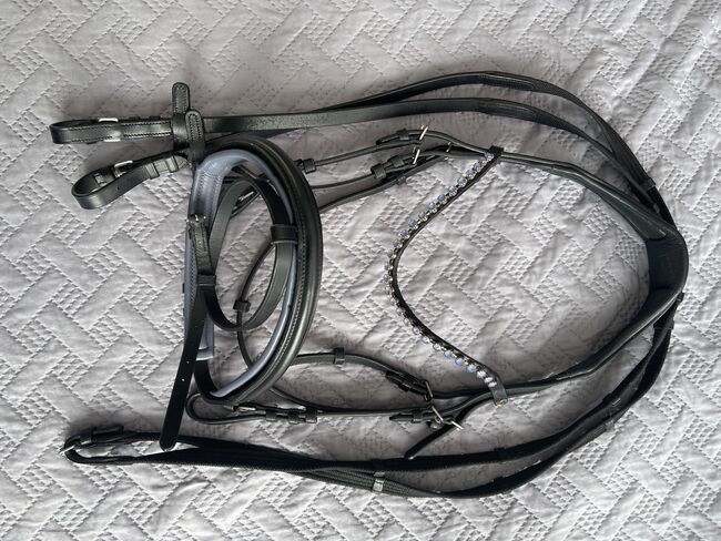 Trense WB, englisch-kombiniert, Waldhausen, Mirjam Ebert , Bridles & Headstalls, Sickte, Image 7