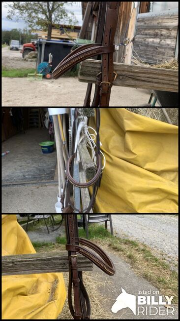 Trense weiches Leder gr. Vollblut, Barbara Schlor, Bridles & Headstalls, Rohrdorf, Image 4