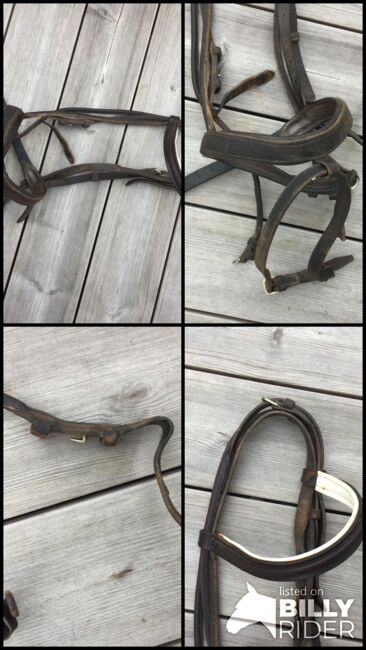 Trense ohne Gebiss und Zügel, Maßarbeit , Susanne , Bridles & Headstalls, München, Image 5