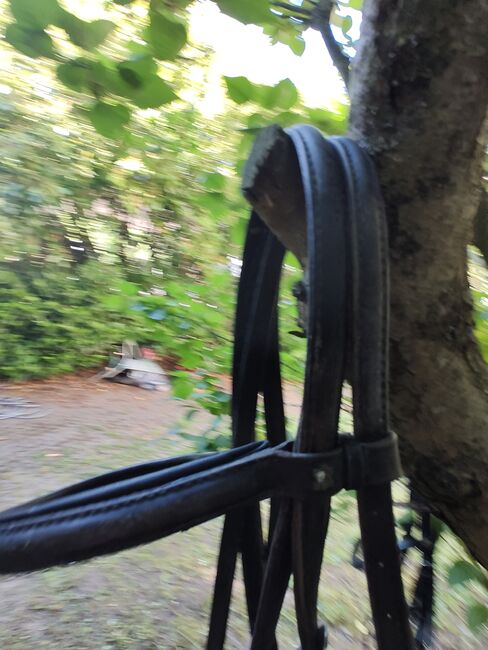 Trensenzaum Warmblut Halbrund genäht, Ute, Bridles & Headstalls, Düren, Image 5