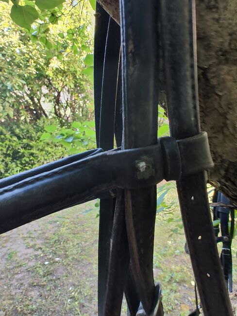 Trensenzaum Warmblut Halbrund genäht, Ute, Bridles & Headstalls, Düren