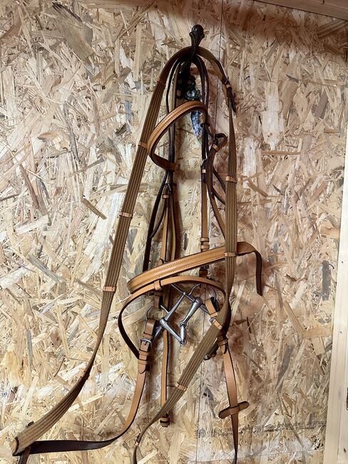 Trensenzaum, Pamela , Bridles & Headstalls, Brückl