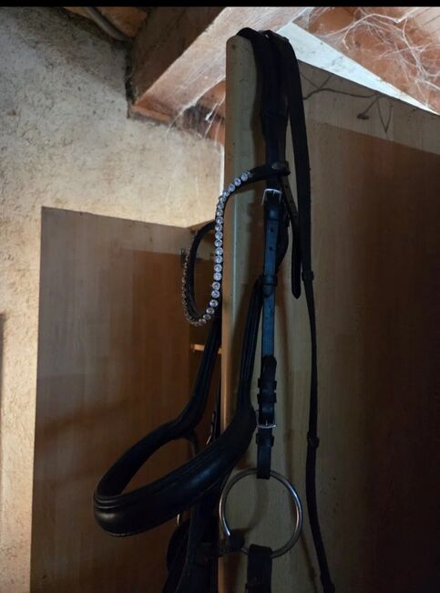 Trensenzaum, Corinna, Bridles & Headstalls, Hohenberg