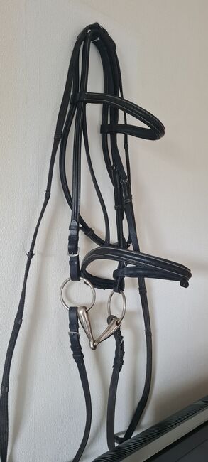 Trense / Zaumzeug, Roxi, Bridles & Headstalls, Wissen