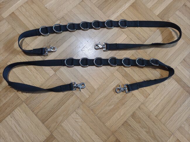 Ausbinder Trense Halfter Pferd, Vivienne Metzger , Training Aids, Eschwege