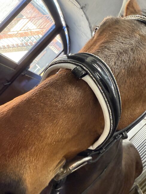 Trense Lack weiß unterlegt mit glitzer, Magic Horse Design  White magic , Nadine, Bridles & Headstalls, Bingen, Image 2
