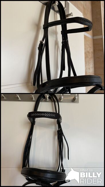 Trensenzaum, Ponyexpress Germany, Ben, Bridles & Headstalls, Buseck, Image 3