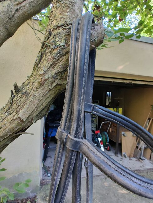 Trensenzaum Warmblut Halbrund genäht, Ute, Bridles & Headstalls, Düren, Image 2