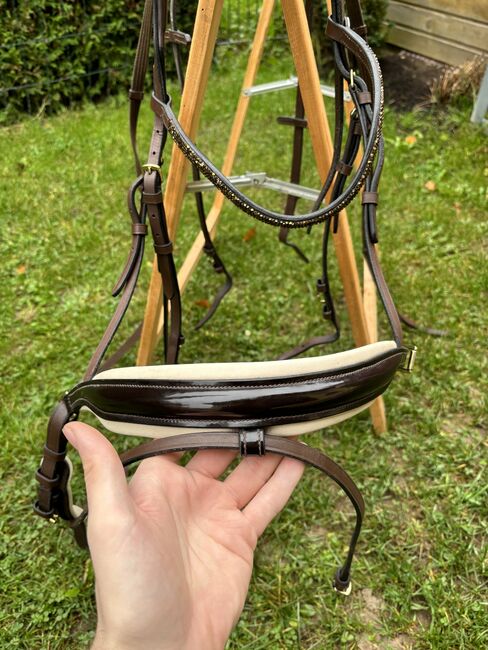 Trense Braun, QHP , Anton Weigel , Bridles & Headstalls, Breitenbrunn 