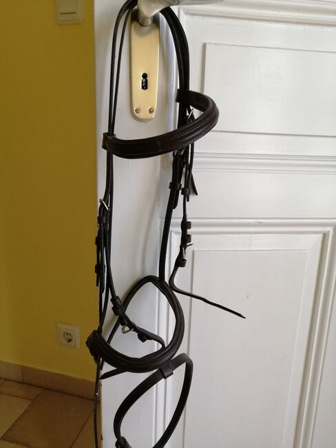 Trense Braun VB, Claudia , Bridles & Headstalls, Lübbecke 