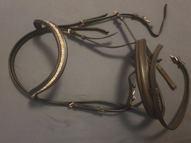 Trense Braun WB, Showmaster , Charlotte , Bridles & Headstalls, Freren