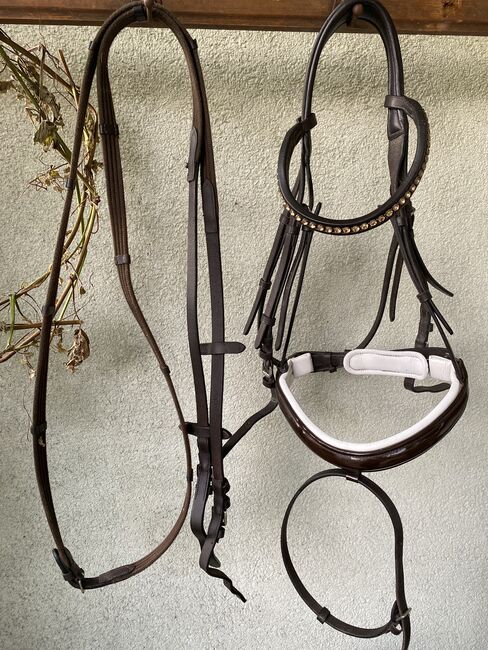 Trense braun weiß unterlegt mit lack, Lucy , Bridles & Headstalls, Aub, Image 5