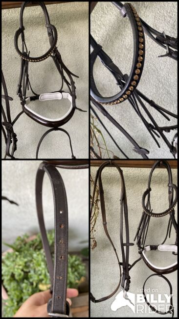 Trense braun weiß unterlegt mit lack, Lucy , Bridles & Headstalls, Aub, Image 7