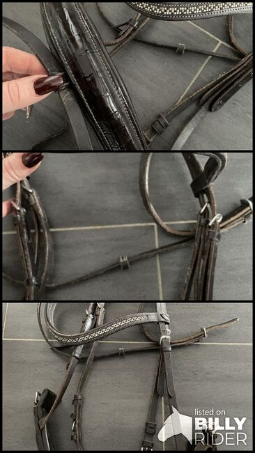 Trense braun WB, Engl. Kombiniert, Nadine Käller, Bridles & Headstalls, Heinsberg, Image 4