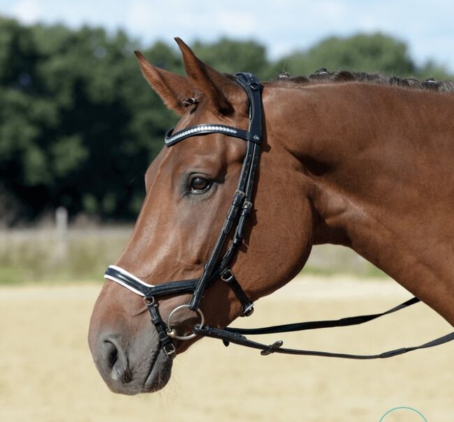 Trense Busse, Emotion, Warmblut, Schwarz wie NEU!!!, Busse Emotion, Nicole , Bridles & Headstalls, Niederzier 