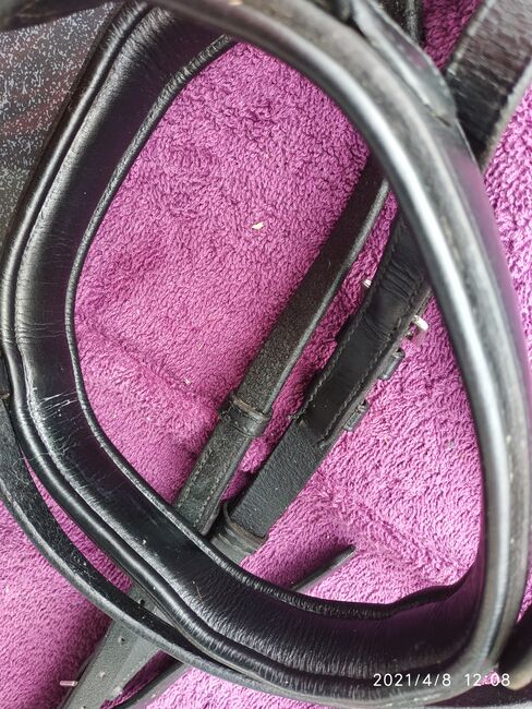 Trense Busse, Busse  Solibel , Pummeleinhorn, Bridles & Headstalls, Viernheim, Image 2