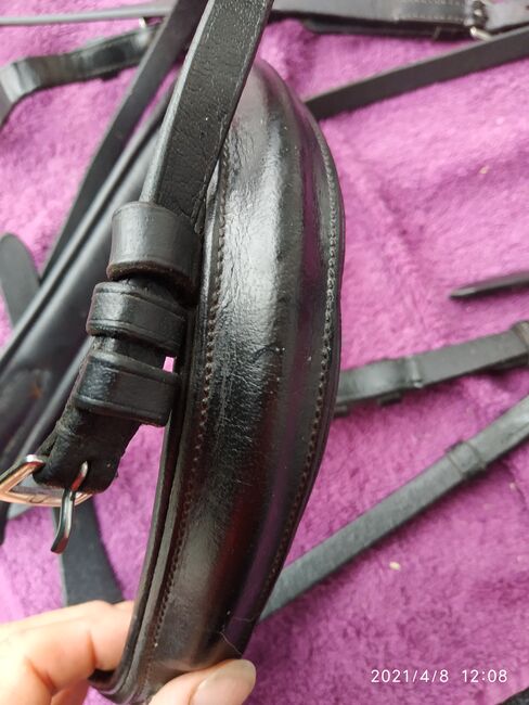 Trense Busse, Busse  Solibel , Pummeleinhorn, Bridles & Headstalls, Viernheim, Image 5