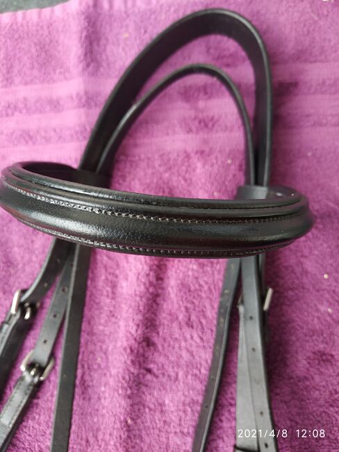 Trense Busse, Busse  Solibel , Pummeleinhorn, Bridles & Headstalls, Viernheim, Image 3