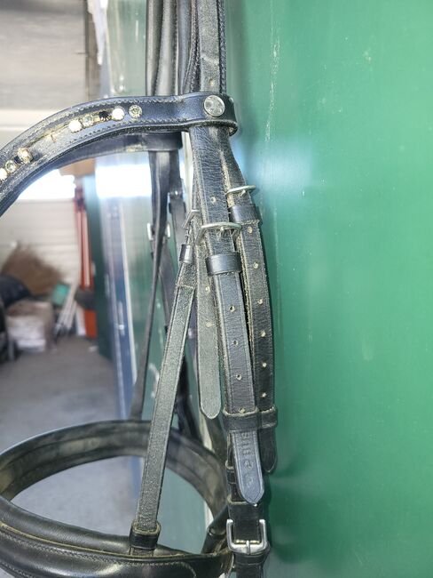 Trense Busse WB, Busse, Katharina, Bridles & Headstalls, Erding, Image 4
