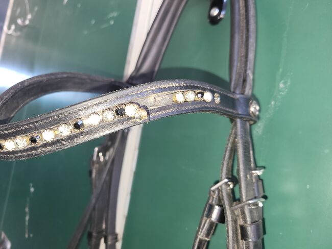 Trense Busse WB, Busse, Katharina, Bridles & Headstalls, Erding, Image 5