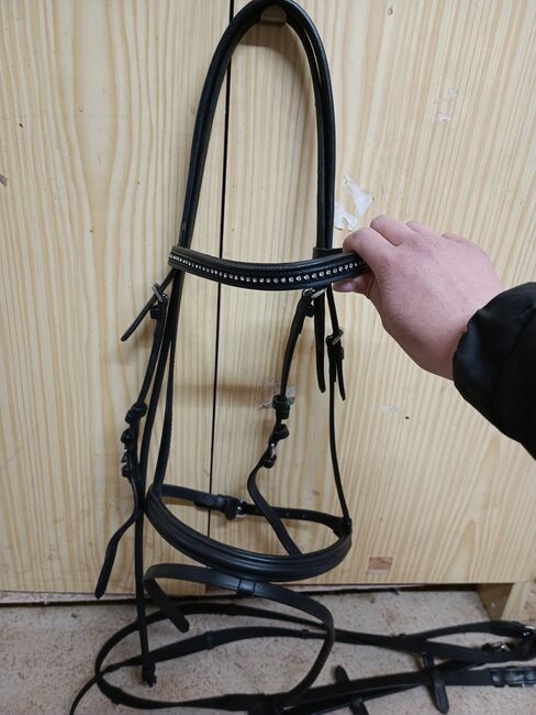 Trense COB, Kramer, Bridles & Headstalls, Spergau