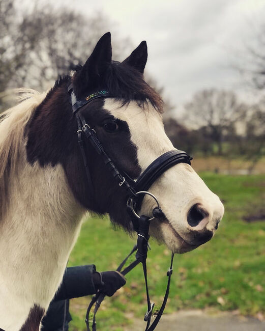 Trense Cob, Marie L. Feldhues, Bridles & Headstalls, Wrohm, Image 2