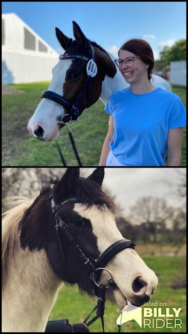 Trense Cob, Marie L. Feldhues, Bridles & Headstalls, Wrohm, Image 3