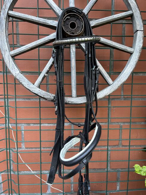 Trense Cob, Robust, Janine Haack, Bridles & Headstalls, Elze