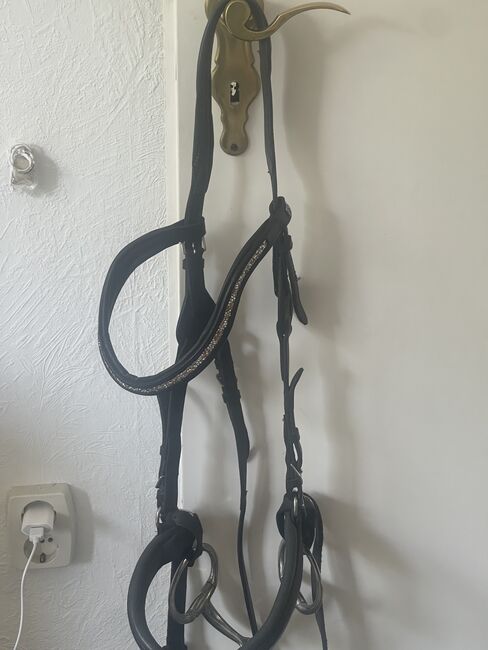 Trense kaltblut, Barefoot, Kessy, Bridles & Headstalls, Wilhelmshaven