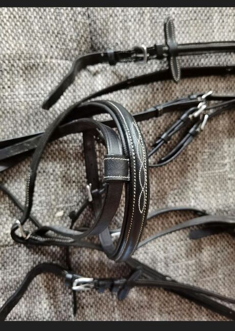 Trense kombiniert, Sendy, Bridles & Headstalls, Bad Sulza , Image 2