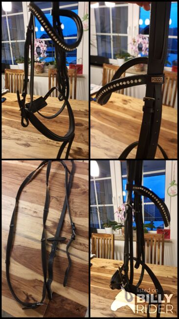 Trense englisch kombiniert, Ascott, Daniela Hansel , Bridles & Headstalls, Hennef, Image 6