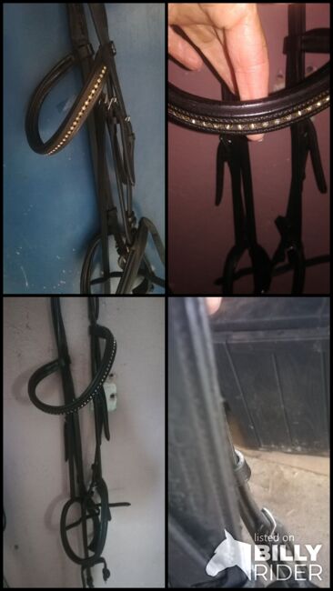 Trense Englisch-kombiniert, Döbert Stallmeister, Jenny, Bridles & Headstalls, Wangen , Image 9