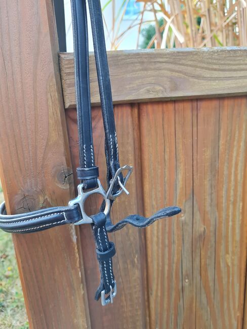 Trense von Championrider, Championrider, Alex, Bridles & Headstalls, Wenden, Image 2