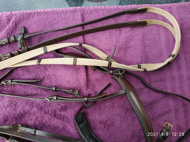 Trense von Döbert Classic Line, Döbert Classic Line, Pummeleinhorn, Bridles & Headstalls, Image 5