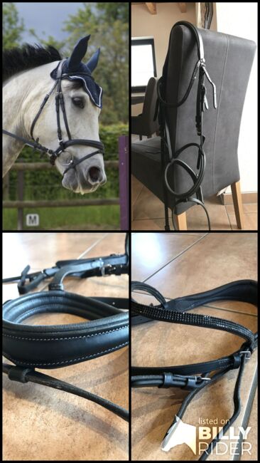 Trense H. Melzer, H. Melzer, Sandra, Bridles & Headstalls, Kollig, Image 7