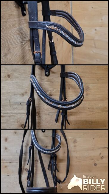 Trensenzaum, Marion Westreicher , Bridles & Headstalls, Pfunds , Image 4