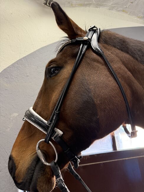 Trense Lack weiß unterlegt mit glitzer, Magic Horse Design  White magic , Nadine, Bridles & Headstalls, Bingen