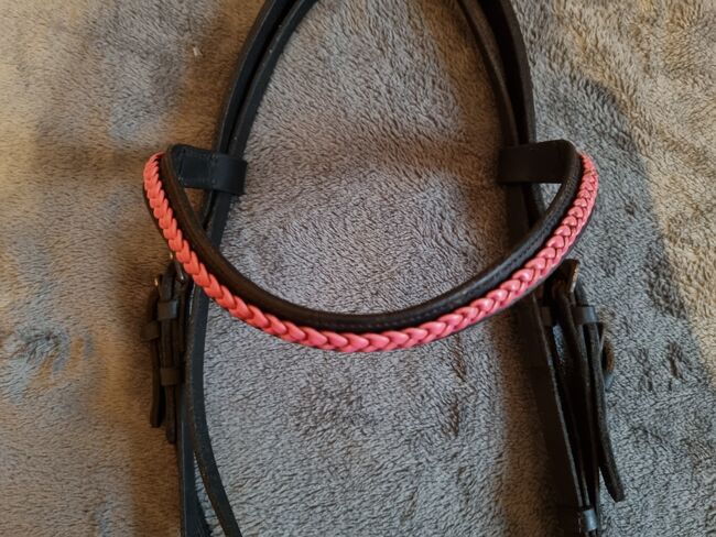 Trense/ Trensenzaum mit rosa Stirnriemen Vollblut VB, Gesa, Bridles & Headstalls, Edewecht, Image 2