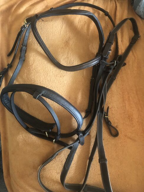 Ledertrense braun COB/WB, Sabine Hermann, Bridles & Headstalls, Goch