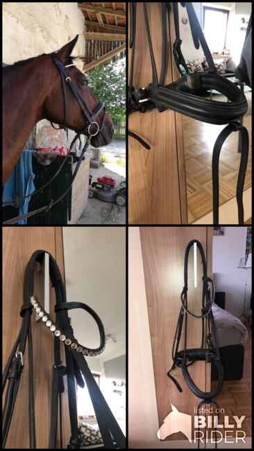 Trense in WB zu verkaufen, Krämer Eigenmarke, Lara Prause, Bridles & Headstalls, Altomünster, Image 6