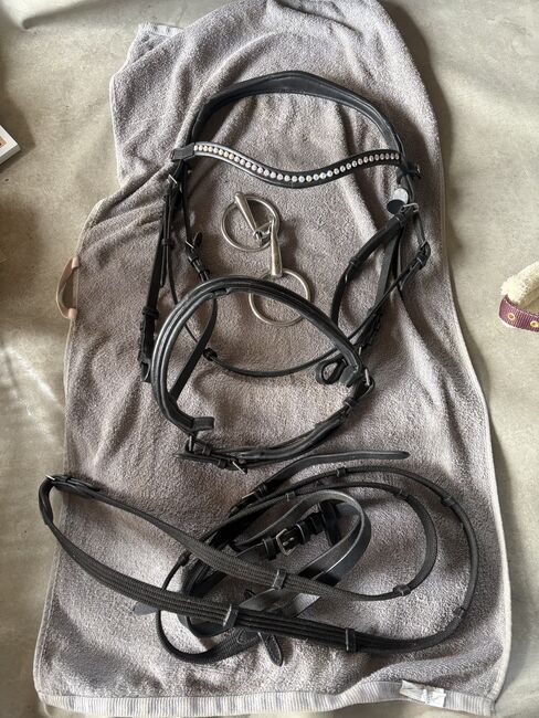 Trense Loesdau, Loesdau Trense, Vanessa, Bridles & Headstalls, Leibertingen 