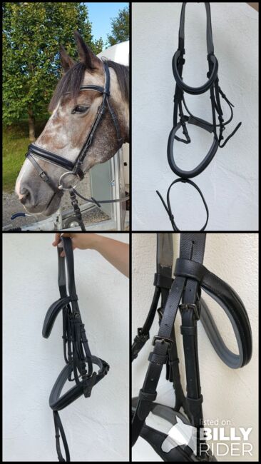 Trense grau unterlegt, Loesdau, Christine , Bridles & Headstalls, Gammertingen, Image 6