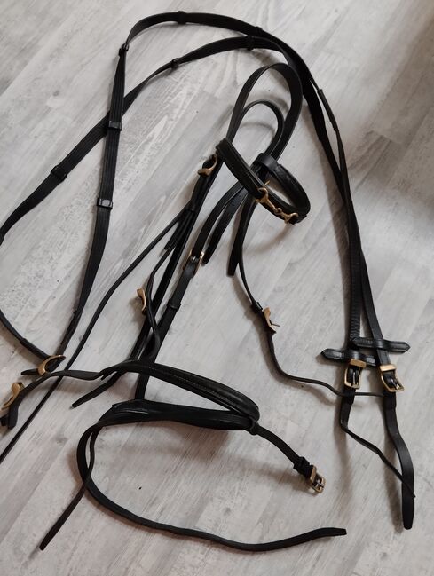 Trense mit Messingschnallen, Peggy, Bridles & Headstalls, Casekirchen