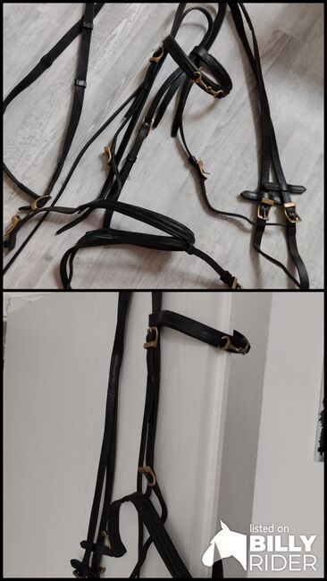 Trense mit Messingschnallen, Peggy, Bridles & Headstalls, Casekirchen, Image 3