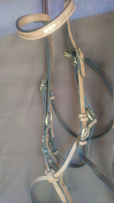 Trense mexikanisch, Barbara Tiefenthaler , Bridles & Headstalls, Burgstall , Image 2