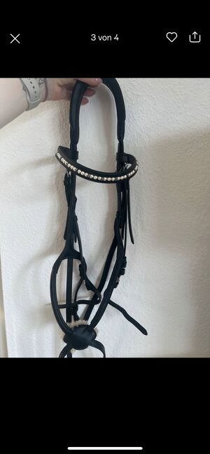 Trense Mexikanisch, Claridge House, Julie , Bridles & Headstalls, Bad Karlshafen, Image 2